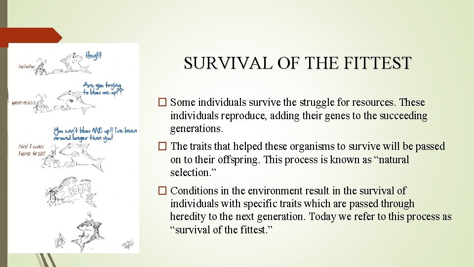 SURVIVAL OF THE FITTEST � Some individuals survive the struggle for resources. These individuals