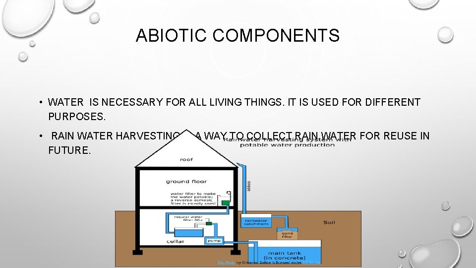 ABIOTIC COMPONENTS • WATER IS NECESSARY FOR ALL LIVING THINGS. IT IS USED FOR