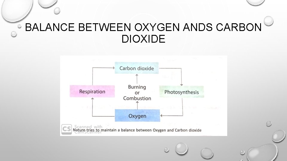 BALANCE BETWEEN OXYGEN ANDS CARBON DIOXIDE 