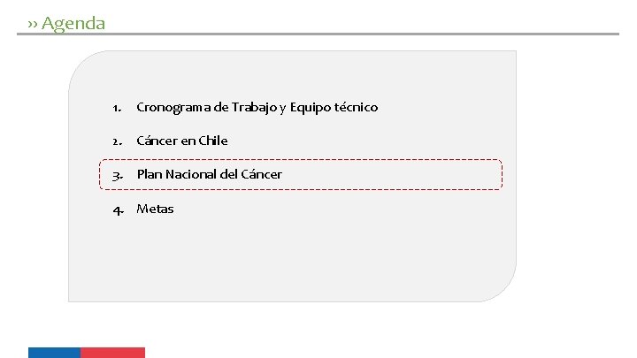 ›› Agenda 1. Cronograma de Trabajo y Equipo técnico 2. Cáncer en Chile 3.