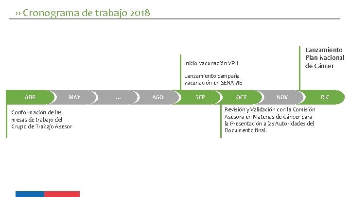 ›› Cronograma de trabajo 2018 Lanzamiento Plan Nacional de Cáncer Inicio Vacunación VPH Lanzamiento