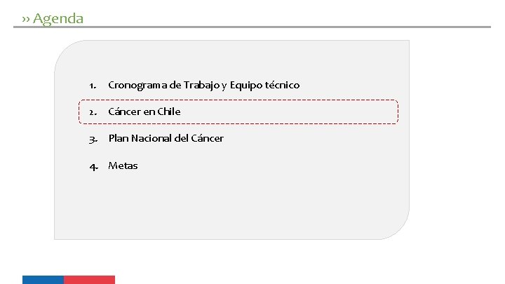 ›› Agenda 1. Cronograma de Trabajo y Equipo técnico 2. Cáncer en Chile 3.