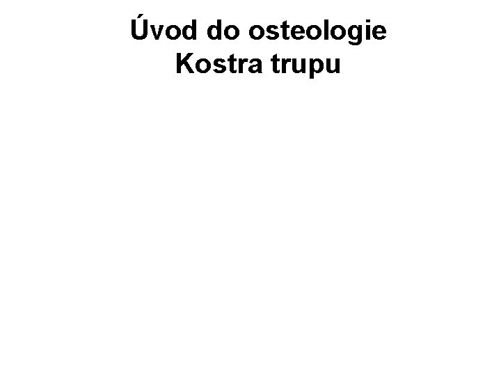 Úvod do osteologie Kostra trupu 