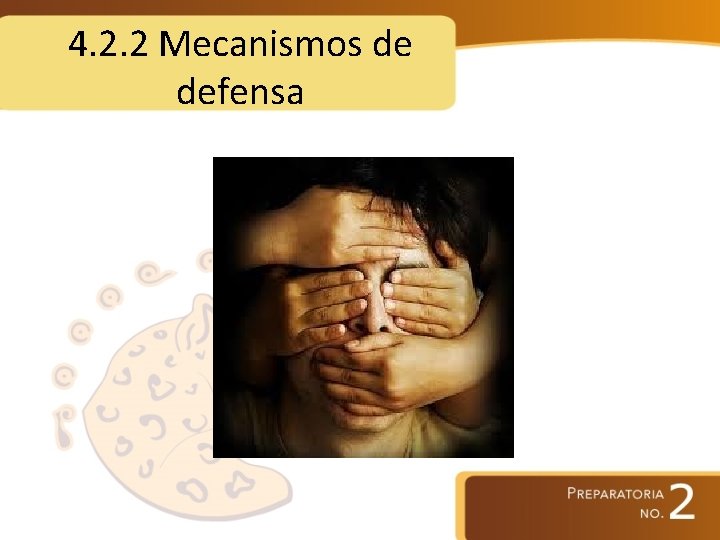 4. 2. 2 Mecanismos de defensa 