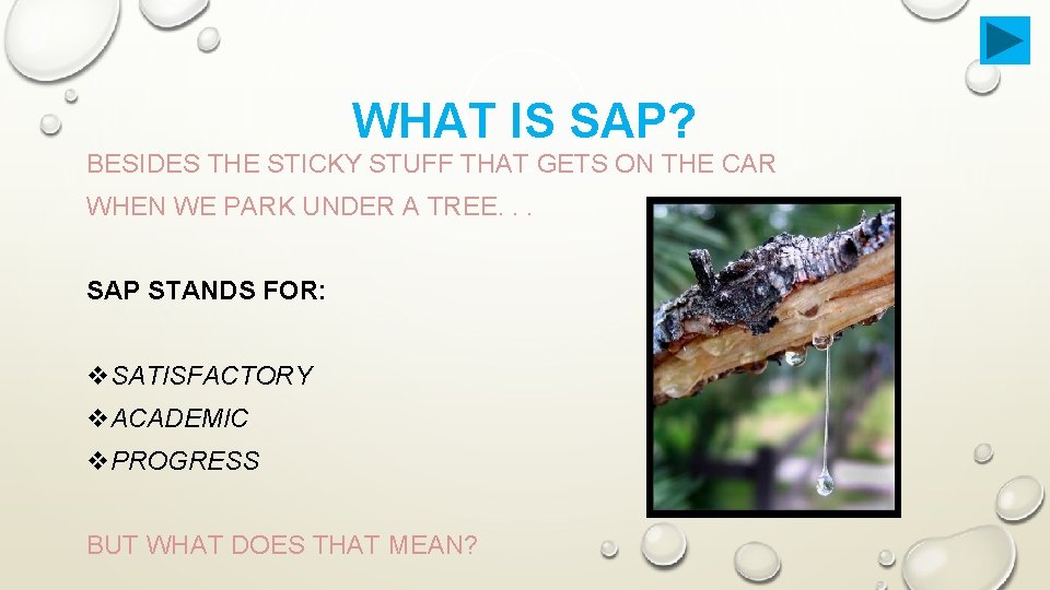 WHAT IS SAP? BESIDES THE STICKY STUFF THAT GETS ON THE CAR WHEN WE
