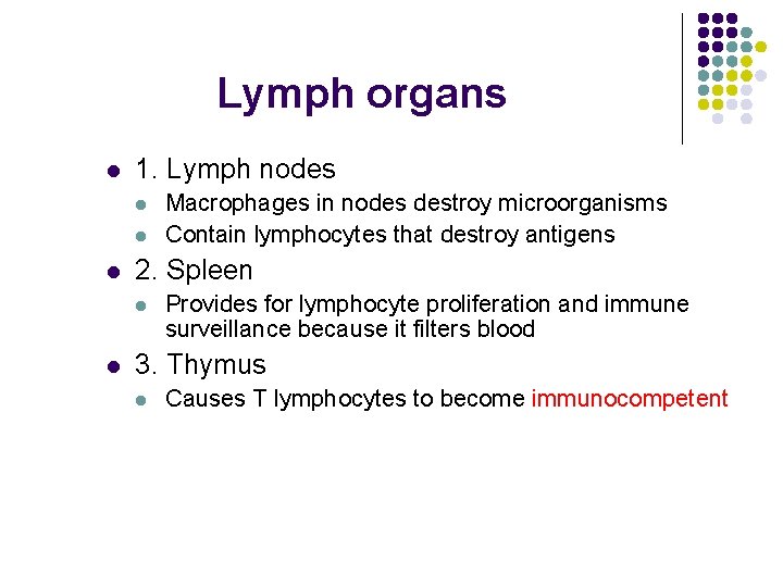 Lymph organs l 1. Lymph nodes l l l 2. Spleen l l Macrophages