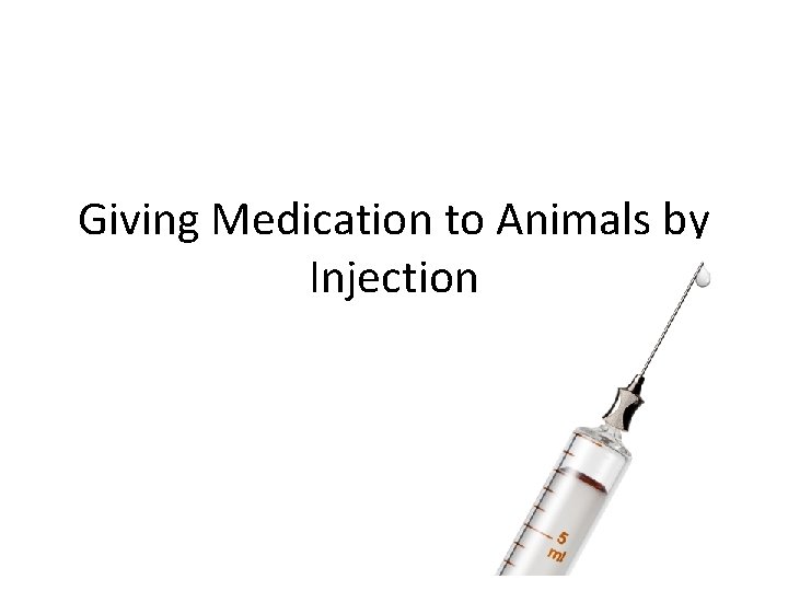 Giving Medication to Animals by Injection 