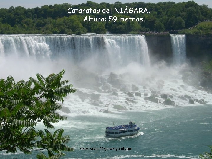 Cataratas del NIÁGARA. Altura: 59 metros. www. vitanoblepowerpoints. net 