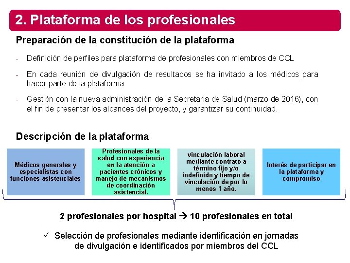 2. Plataforma de los profesionales Preparación de la constitución de la plataforma - Definición