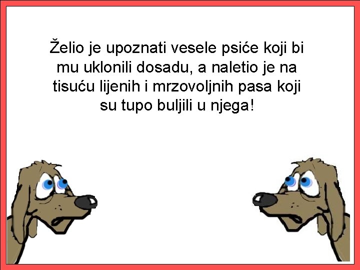 Želio je upoznati vesele psiće koji bi mu uklonili dosadu, a naletio je na