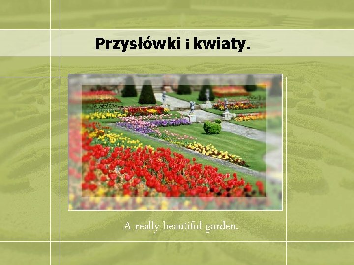 Przysłówki i kwiaty. A really beautiful garden. 