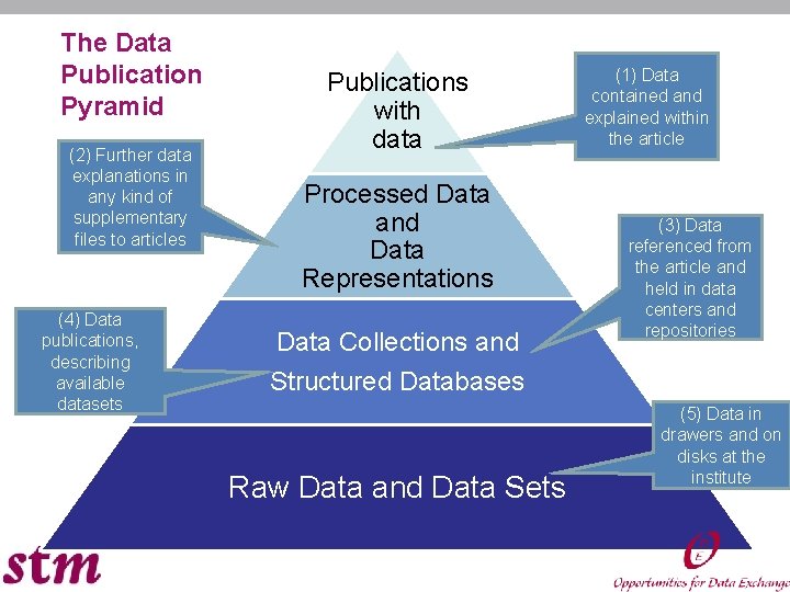 The Data Publication Pyramid (2) Further data explanations in any kind of supplementary files