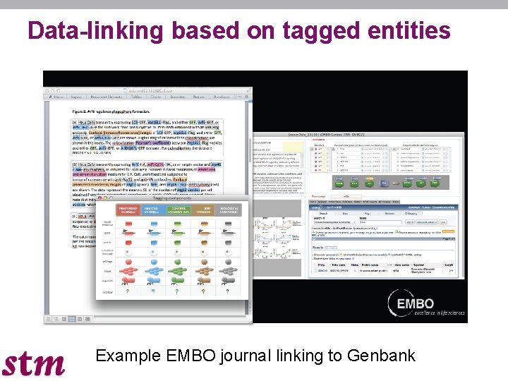 Data-linking based on tagged entities Example EMBO journal linking to Genbank 