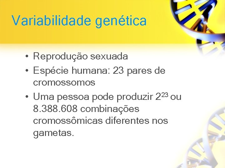 Variabilidade genética • Reprodução sexuada • Espécie humana: 23 pares de cromossomos • Uma