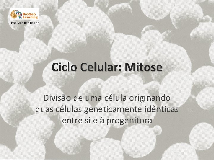 Prof. Ana Rita Rainho Ciclo Celular: Mitose Divisão de uma célula originando duas células