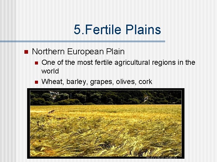 5. Fertile Plains n Northern European Plain n n One of the most fertile