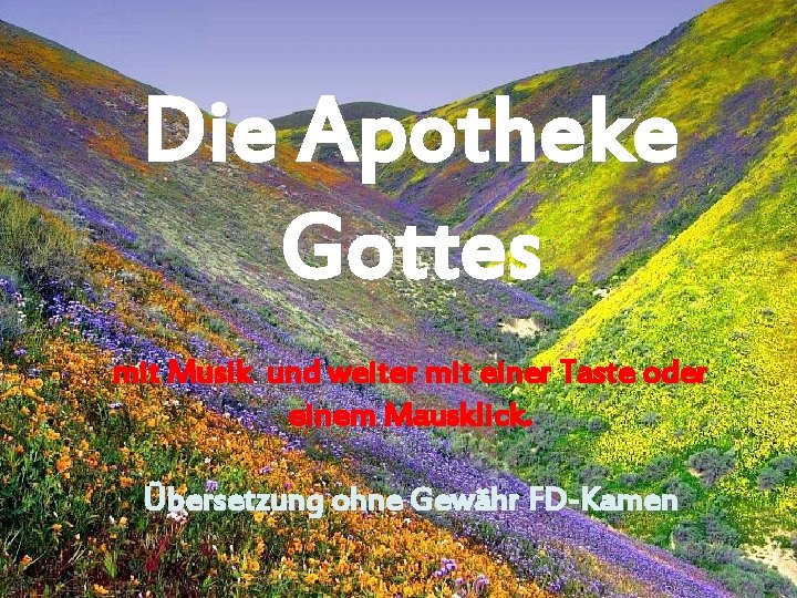 Die Apotheke Gottes mit Musik und weiter mit einer Taste oder einem Mausklick. Übersetzung