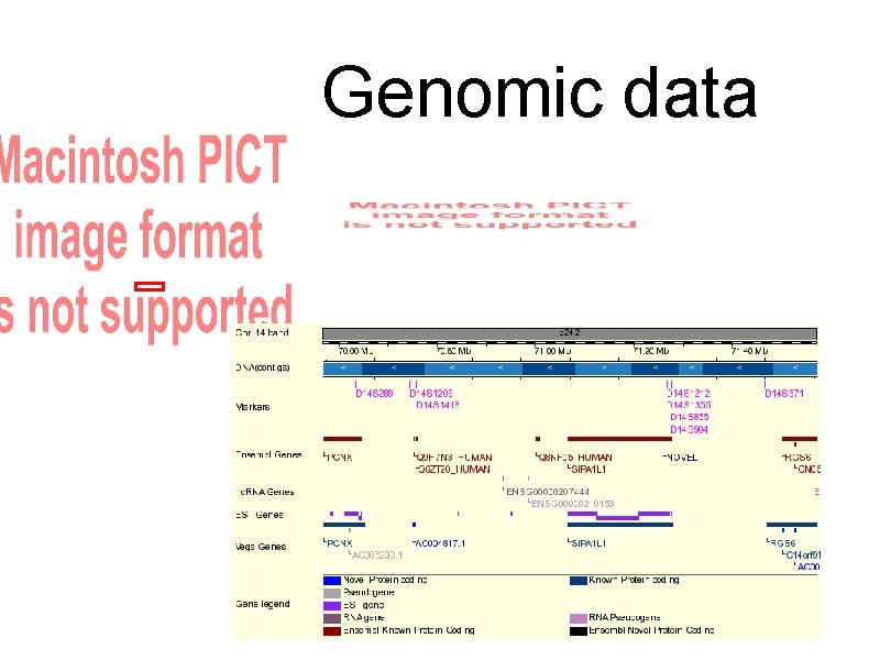 Genomic data 