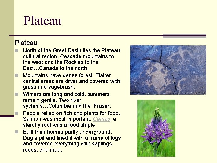 Plateau n North of the Great Basin lies the Plateau n n cultural region. Plateau n North of the Great Basin lies the Plateau n n cultural region.