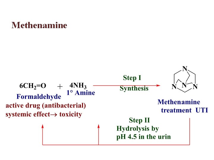 Methenamine 