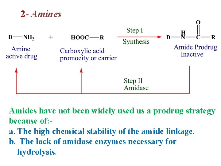 2 - Amines Amides have not been widely used us a prodrug strategy because