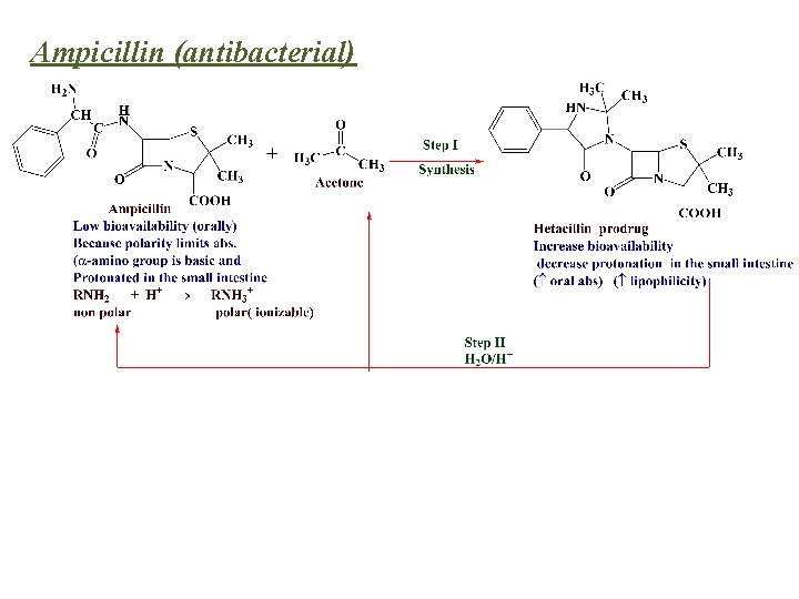 Ampicillin (antibacterial) 