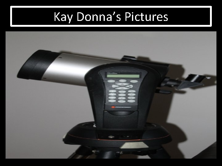 Kay Donna’s Pictures 