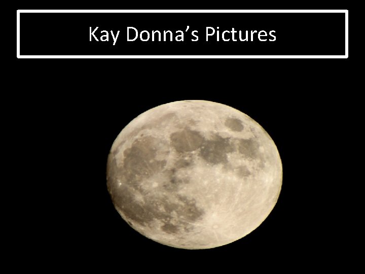 Kay Donna’s Pictures 