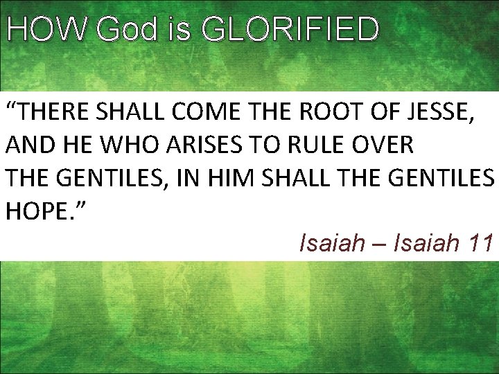 HOW God is GLORIFIED “THERE SHALL COME THE ROOT OF JESSE, AND HE WHO