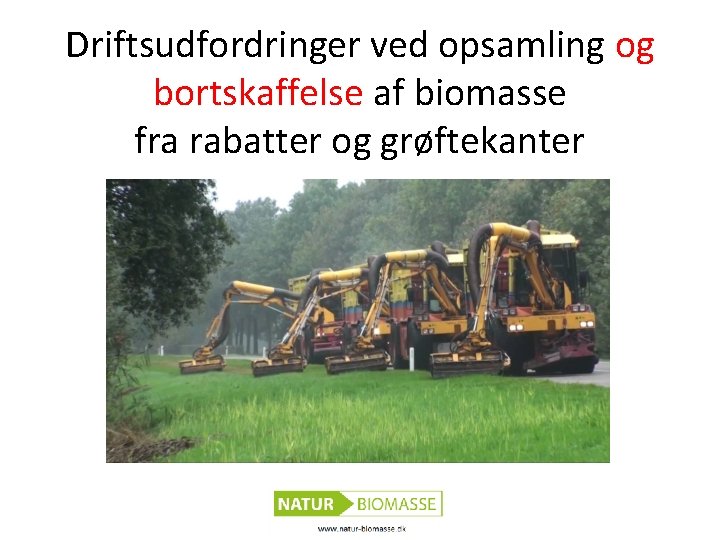 Driftsudfordringer ved opsamling og bortskaffelse af biomasse fra rabatter og grøftekanter 