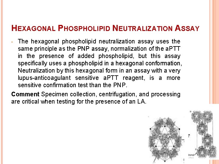 HEXAGONAL PHOSPHOLIPID NEUTRALIZATION ASSAY The hexagonal phospholipid neutralization assay uses the same principle as