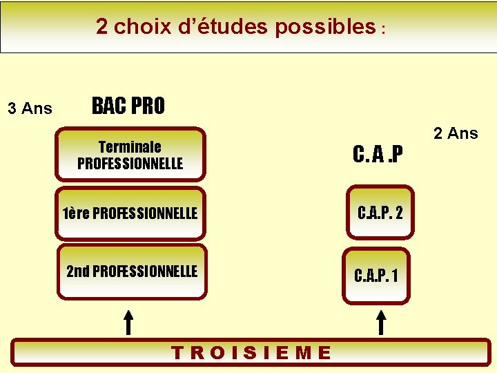 2 choix d’études possibles : 3 Ans BAC PRO Terminale PROFESSIONNELLE C. A. P