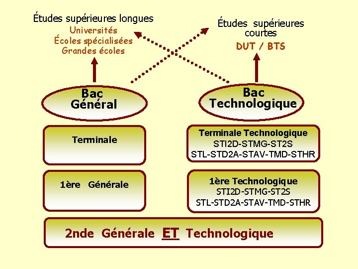 Études supérieures longues Universités Écoles spécialisées Grandes écoles Études supérieures courtes DUT / BTS