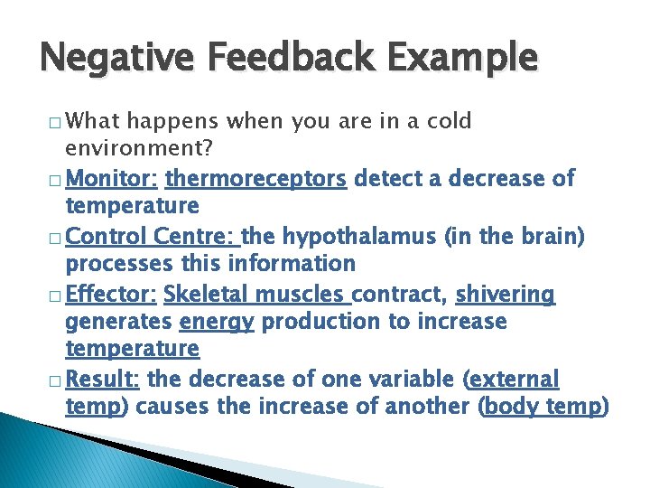 Negative Feedback Example � What happens when you are in a cold environment? �