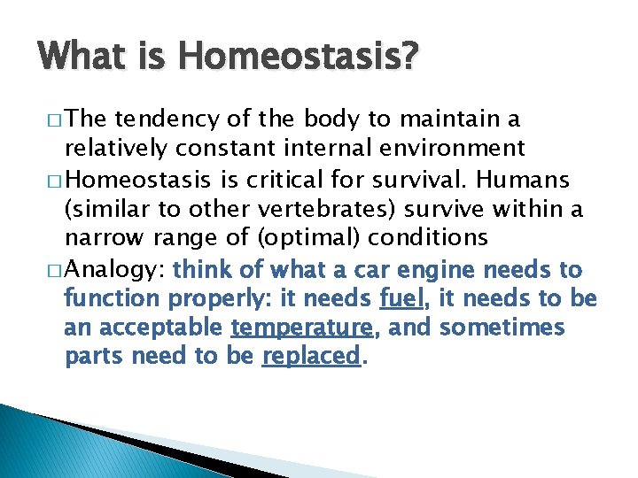What is Homeostasis? � The tendency of the body to maintain a relatively constant