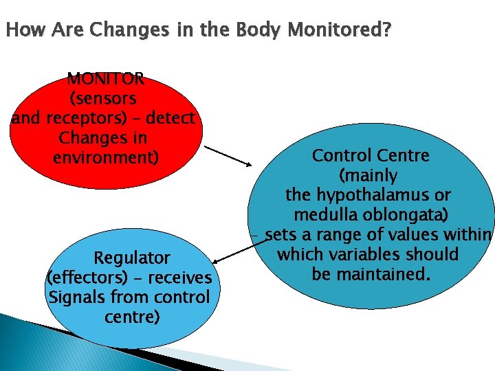 How Are Changes in the Body Monitored? MONITOR (sensors and receptors) – detect Changes