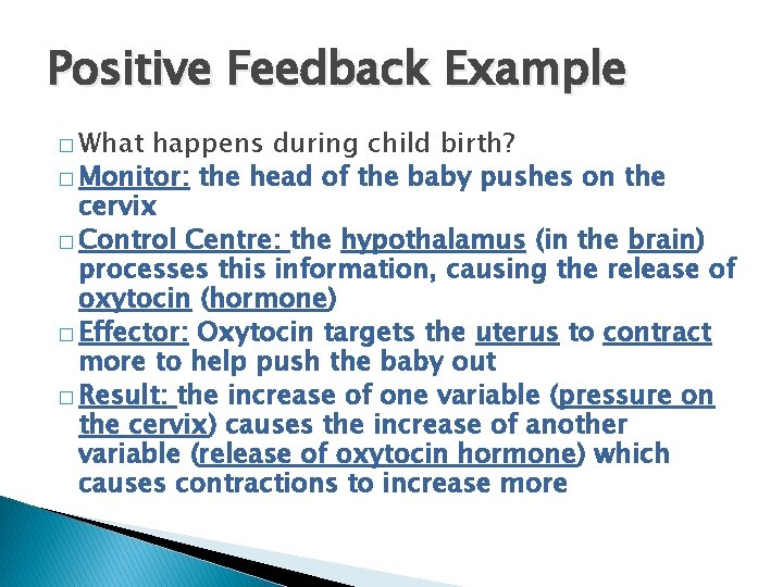 Positive Feedback Example � What happens during child birth? � Monitor: the head of