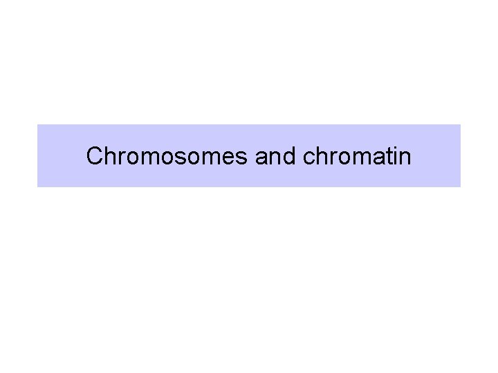 Chromosomes and chromatin 