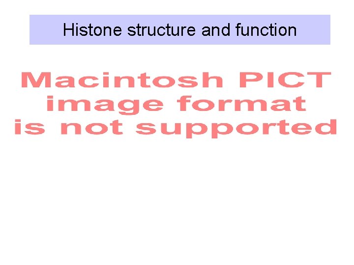 Histone structure and function 