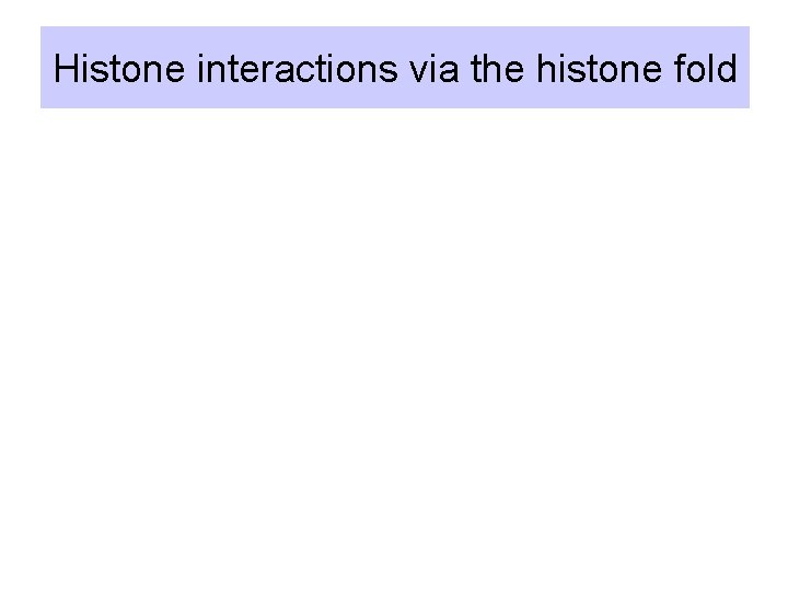 Histone interactions via the histone fold 