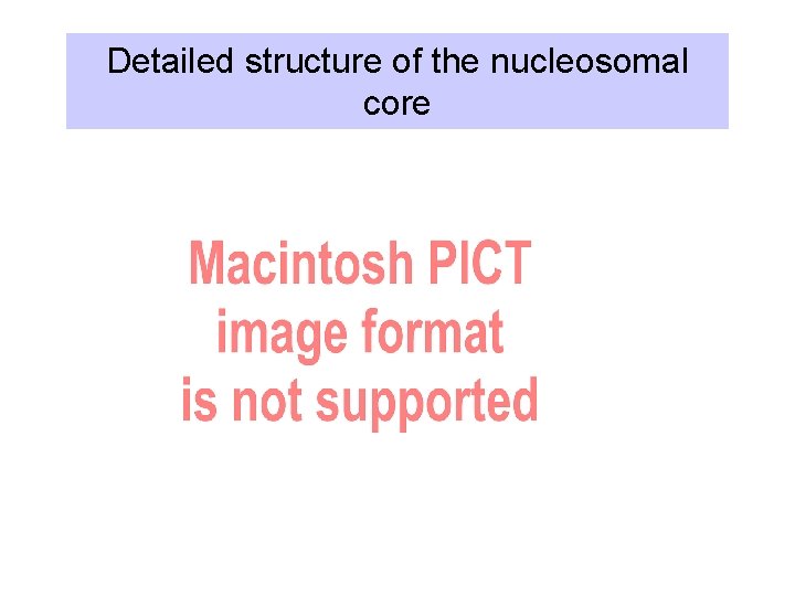 Detailed structure of the nucleosomal core 