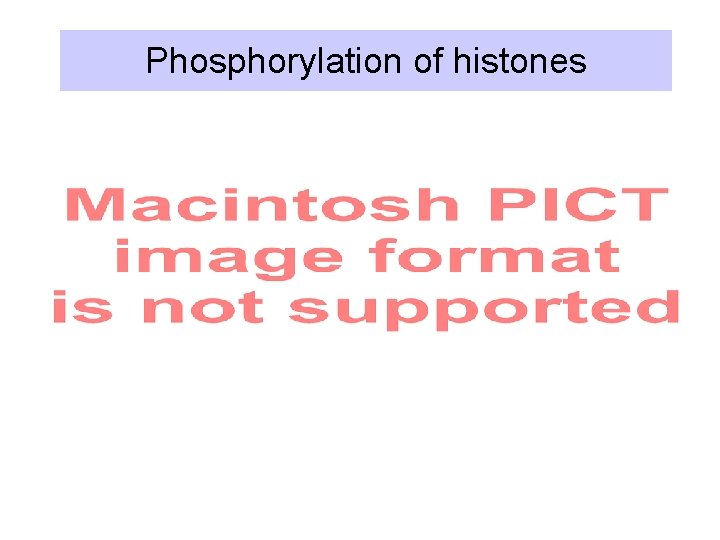 Phosphorylation of histones 