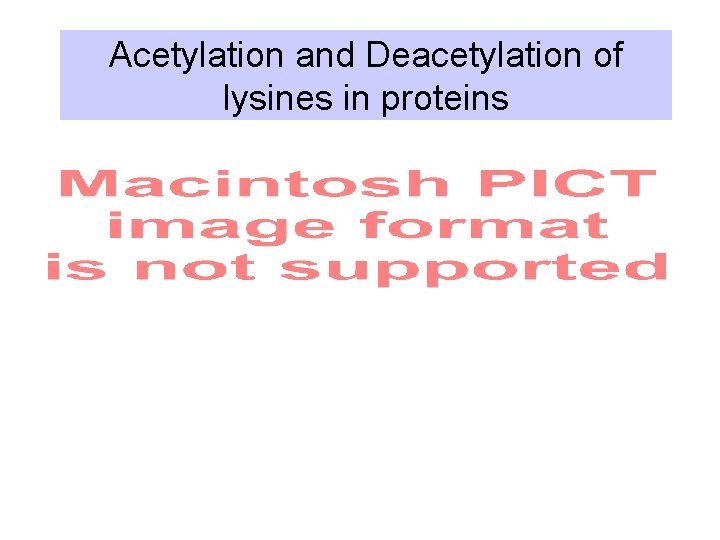 Acetylation and Deacetylation of lysines in proteins 