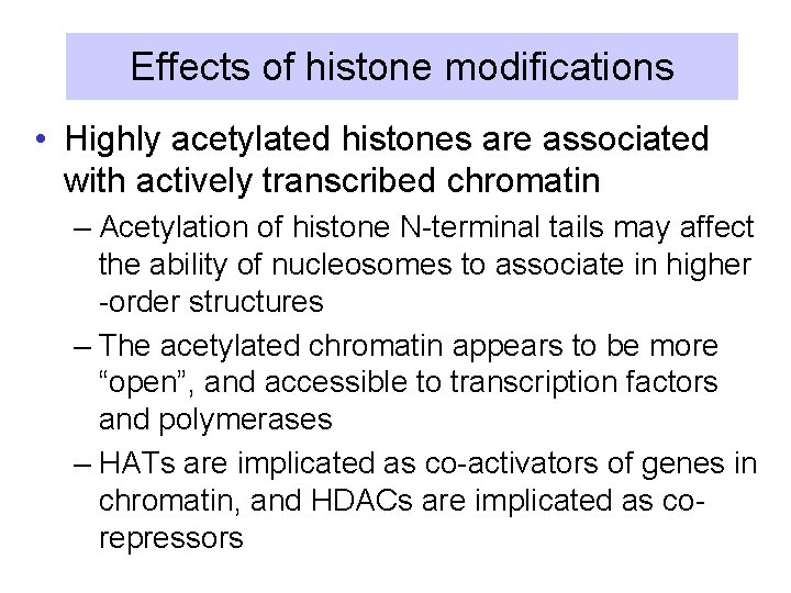 Effects of histone modifications • Highly acetylated histones are associated with actively transcribed chromatin
