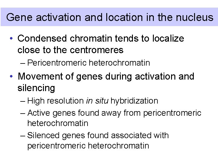 Gene activation and location in the nucleus • Condensed chromatin tends to localize close
