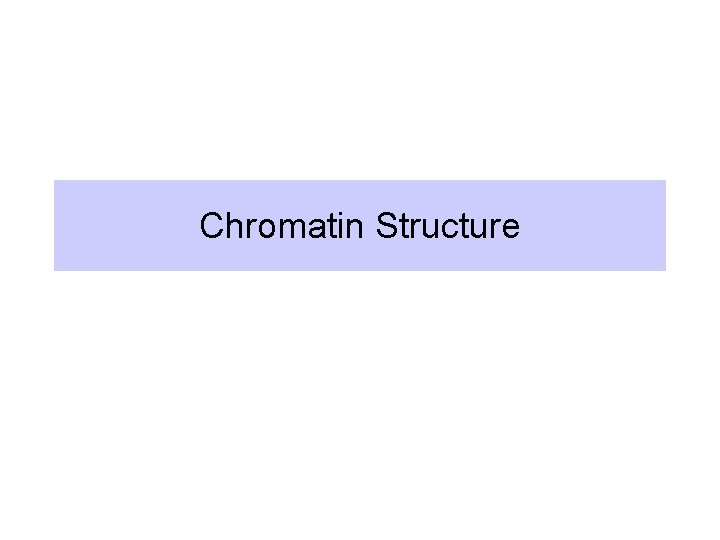 Chromatin Structure 