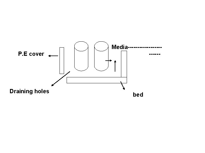 P. E cover Draining holes Media------------ bed 