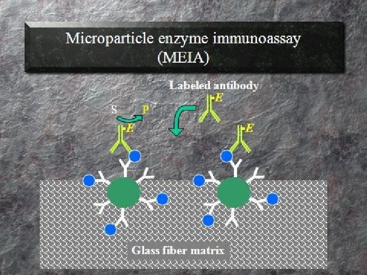 Principles of Immunochemical techniques Used in Clinical Chemistry