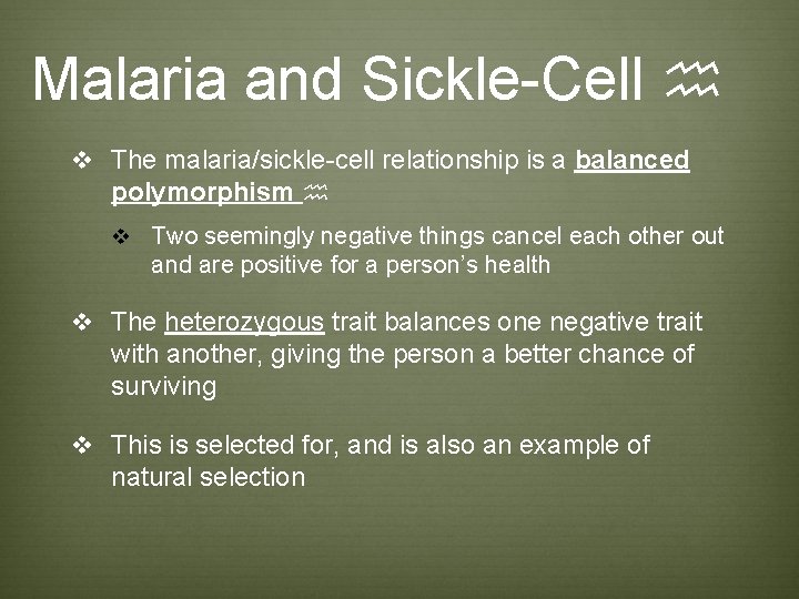 Malaria and Sickle-Cell h v The malaria/sickle-cell relationship is a balanced polymorphism h v Malaria and Sickle-Cell h v The malaria/sickle-cell relationship is a balanced polymorphism h v