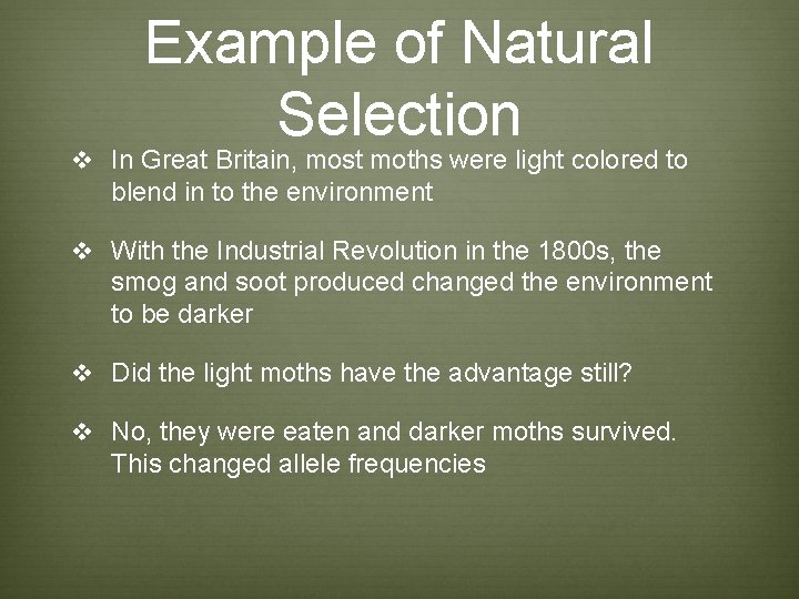 Example of Natural Selection v In Great Britain, most moths were light colored to Example of Natural Selection v In Great Britain, most moths were light colored to